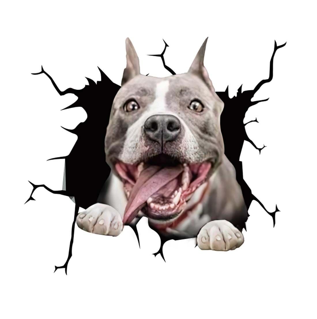 Stickers Chien Voiture 13 Stickers Mania