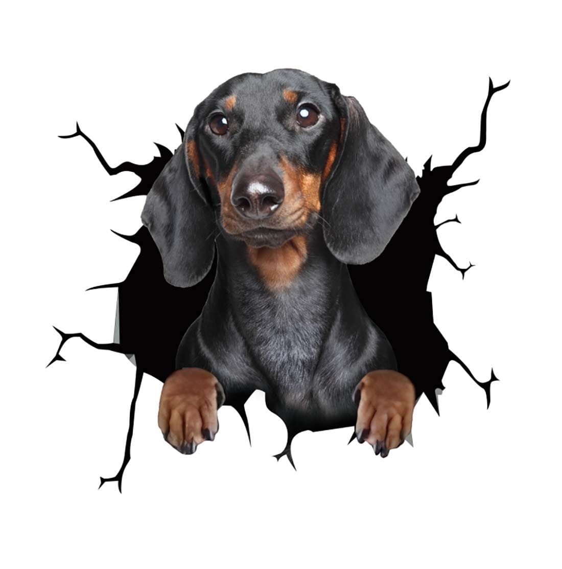 Stickers Chien Voiture 2 Stickers Mania