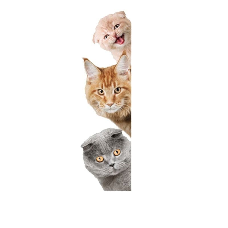 Stickers Frigo Chien et Chat Chat 1 Stickers Mania